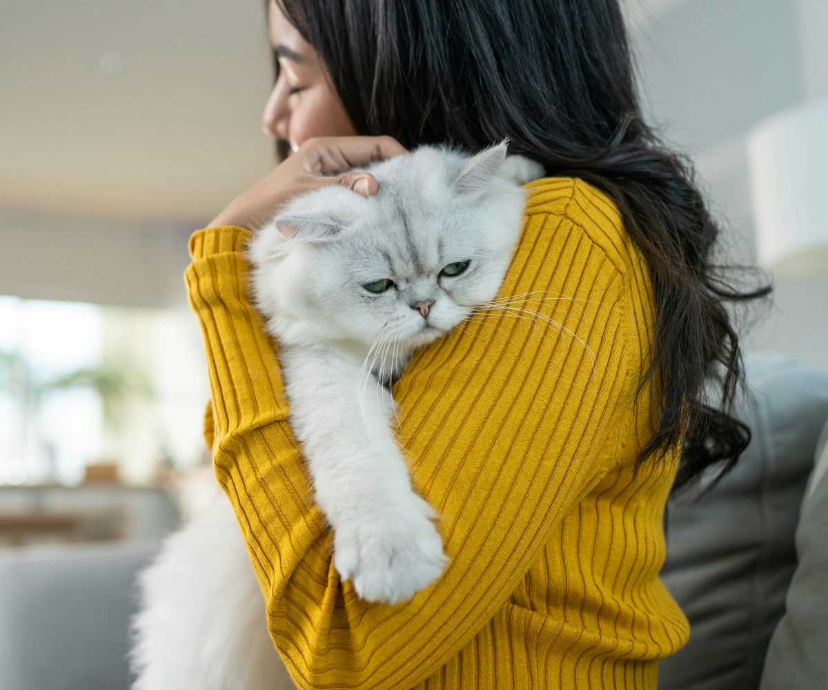 Owner hugging her pet cat tight