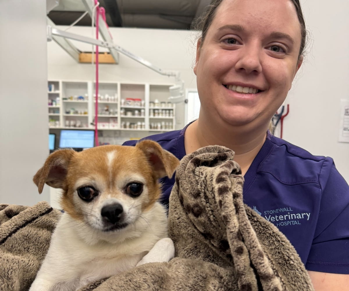 Doctor holding a pet puppy in her hands