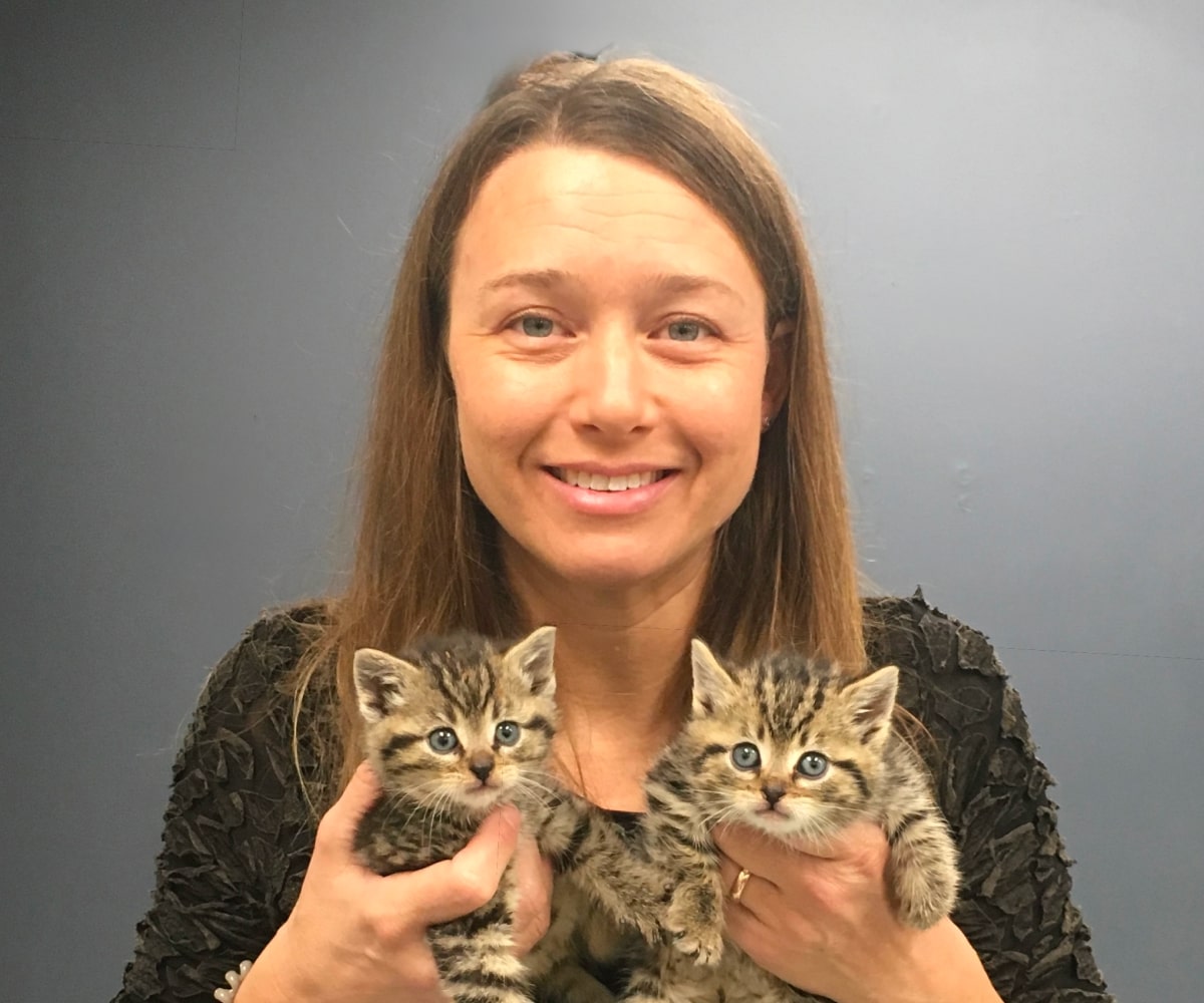 Happy doctor holding two cute kittens in her hands