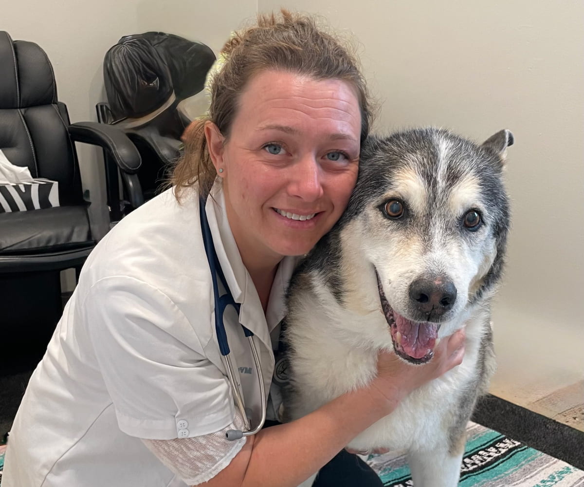 FAQ Banner Image 2 Doctor with old dog