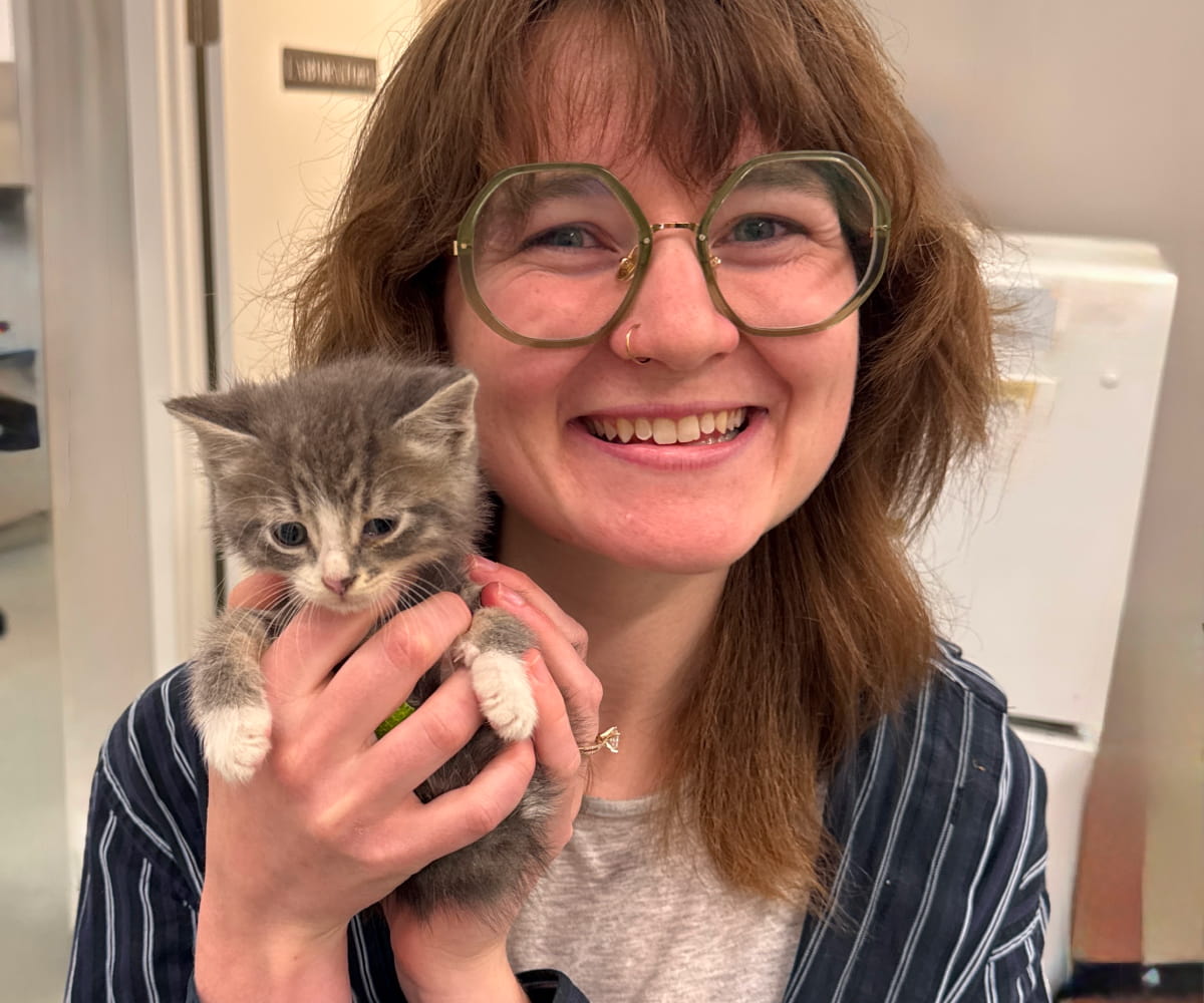Doctor holding a cute kitten in her hands