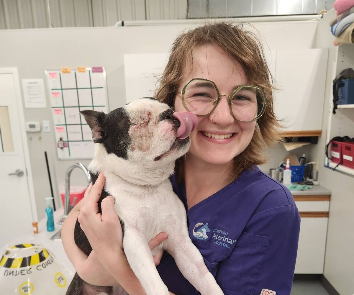 Happy dog with a happy pet dog