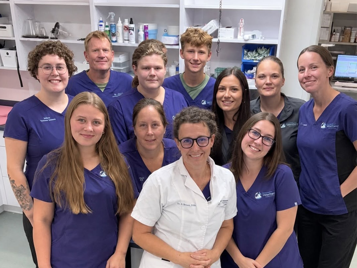 smiling team members at Stonewall Veterinary Hospital